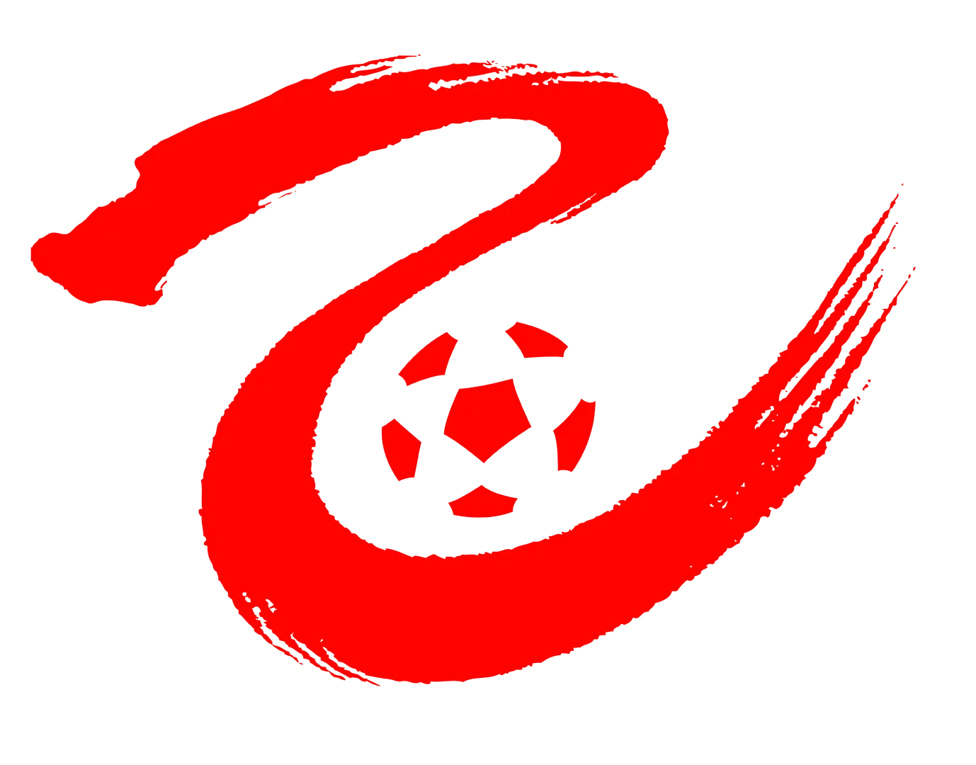 中乙 廊坊荣耀之城vs广西恒宸20241005