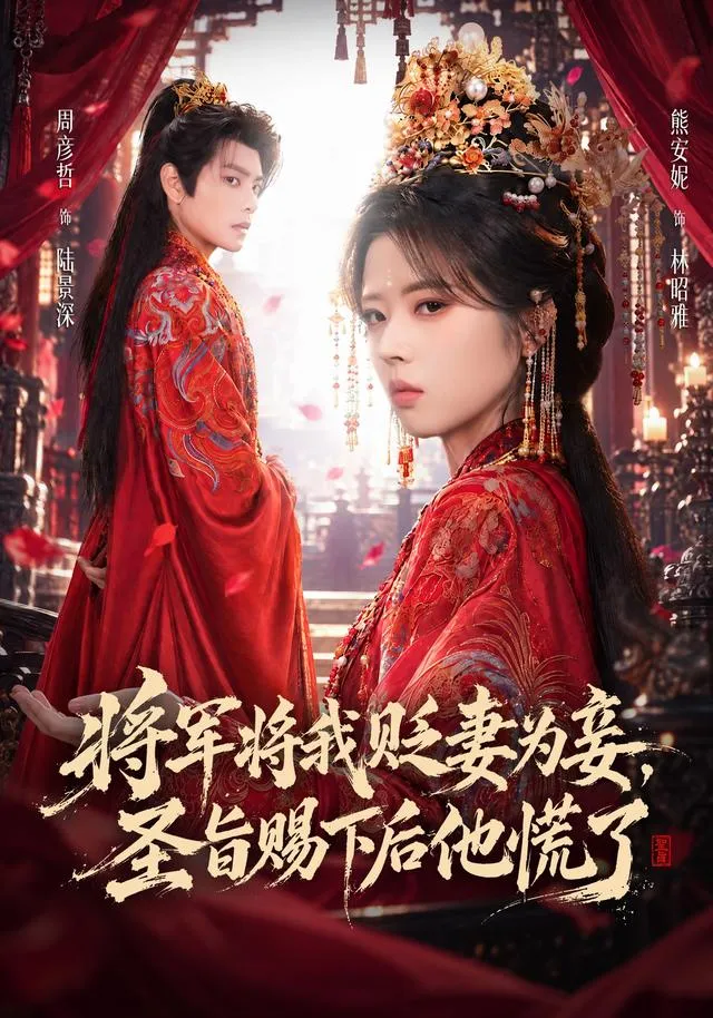将军将我贬妾为妻，圣旨赐下后他慌了